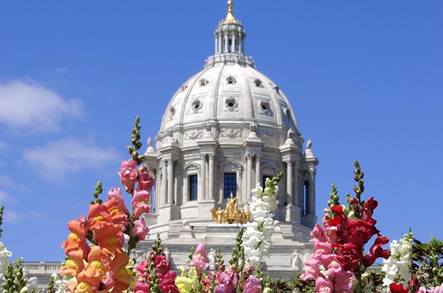 mn-capitol-with-flowers_mainthumb