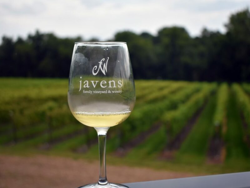 Javens Winery Glass in front of vineyard