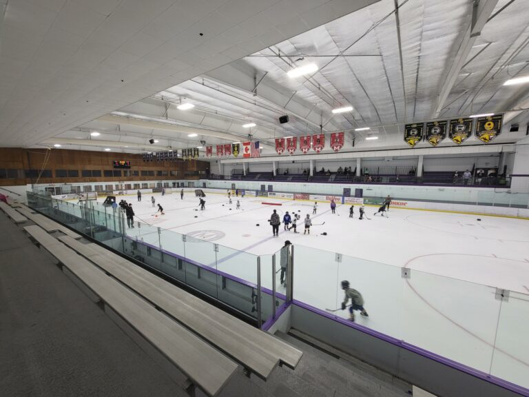 All Seasons Arena Rink 768x576