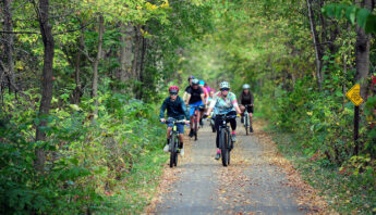 A group of cyclists on a recreational trail in the summer