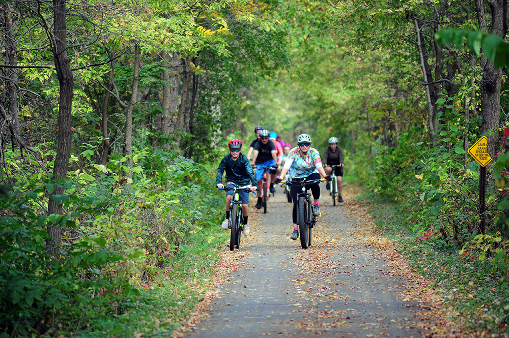 A group of cyclists on a recreational trail in the summer