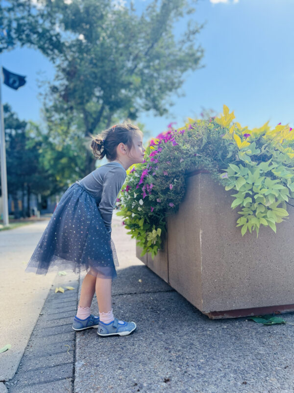 A young girl stands by a beautiful, blooming planter on a downtown sidewalk to smell a flower.